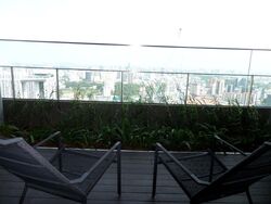 Skysuites@Anson (D2), Apartment #541587831